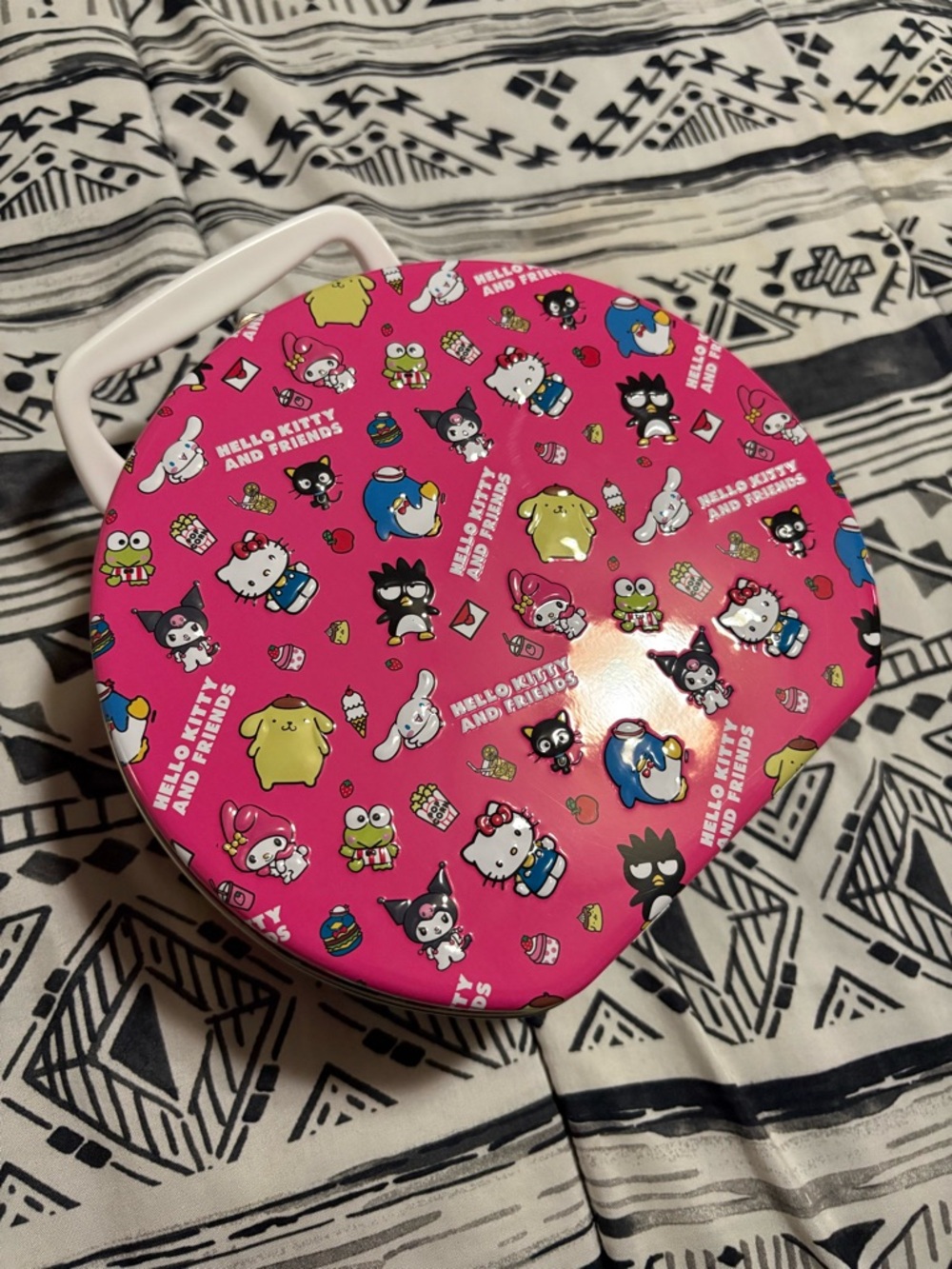 Hello Kitty Pink Character Hard Shell Carry Case